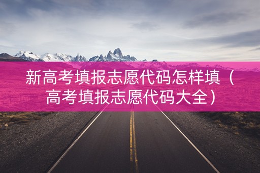 新高考填报志愿代码怎样填（高考填报志愿代码大全）