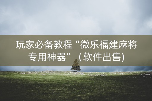 玩家必备教程“微乐福建麻将专用神器”（软件出售)