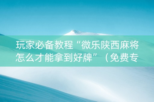 玩家必备教程“微乐陕西麻将怎么才能拿到好牌”（免费专用神器)