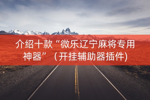 介绍十款“微乐辽宁麻将专用神器”（开挂辅助器插件)