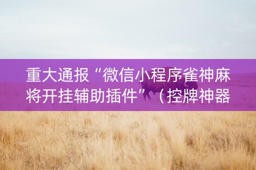 重大通报“微信小程序雀神麻将开挂辅助插件”（控牌神器)