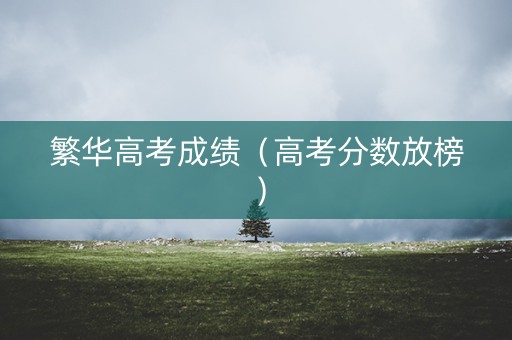 繁华高考成绩（高考分数放榜）