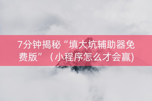 7分钟揭秘“填大坑辅助器免费版”（小程序怎么才会赢)