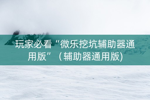 玩家必看“微乐挖坑辅助器通用版”（辅助器通用版)