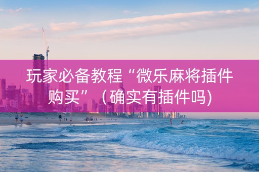 玩家必备教程“微乐麻将插件购买”（确实有插件吗)