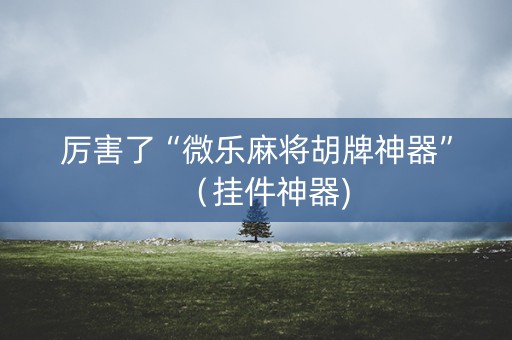 厉害了“微乐麻将胡牌神器”（挂件神器)