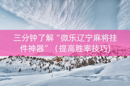 三分钟了解“微乐辽宁麻将挂件神器”（提高胜率技巧)