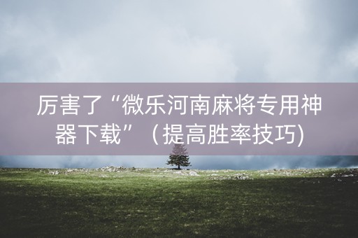 厉害了“微乐河南麻将专用神器下载”（提高胜率技巧)