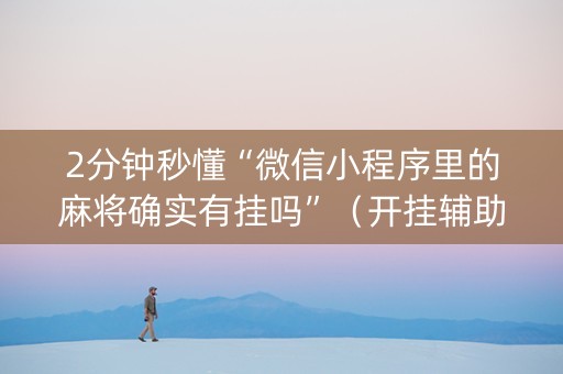 2分钟秒懂“微信小程序里的麻将确实有挂吗”（开挂辅助器插件)