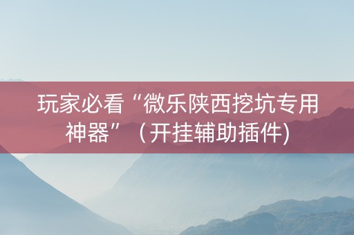 玩家必看“微乐陕西挖坑专用神器”（开挂辅助插件)