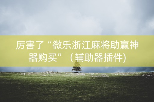 厉害了“微乐浙江麻将助赢神器购买”（辅助器插件)