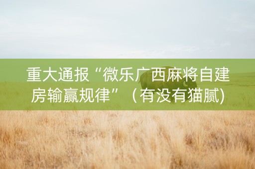 重大通报“微乐广西麻将自建房输赢规律”（有没有猫腻)