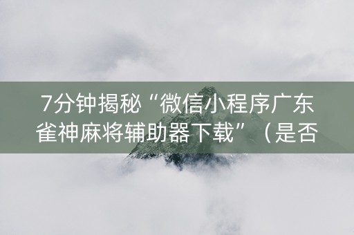 7分钟揭秘“微信小程序广东雀神麻将辅助器下载”（是否能开挂)