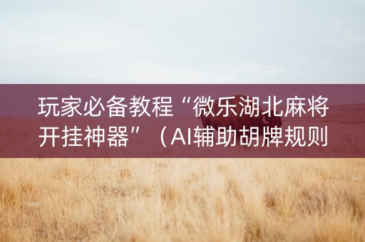 玩家必备教程“微乐湖北麻将开挂神器”（AI辅助胡牌规则)