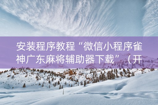 安装程序教程“微信小程序雀神广东麻将辅助器下载”（开挂辅助器插件)