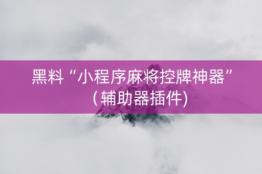 黑料“小程序麻将控牌神器”（辅助器插件)
