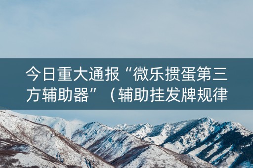今日重大通报“微乐掼蛋第三方辅助器”（辅助挂发牌规律)