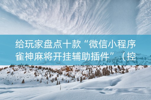 给玩家盘点十款“微信小程序雀神麻将开挂辅助插件”（控牌神器)