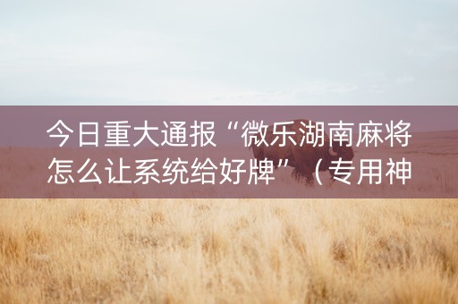 今日重大通报“微乐湖南麻将怎么让系统给好牌”（专用神器下载)