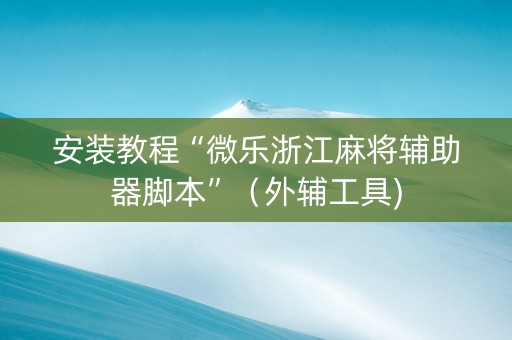 安装教程“微乐浙江麻将辅助器脚本”（外辅工具)