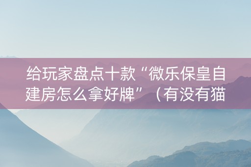 给玩家盘点十款“微乐保皇自建房怎么拿好牌”（有没有猫腻)