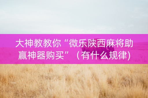 大神教教你“微乐陕西麻将助赢神器购买”（有什么规律)