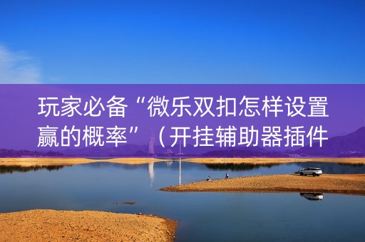 玩家必备“微乐双扣怎样设置赢的概率”（开挂辅助器插件)