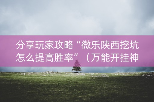 分享玩家攻略“微乐陕西挖坑怎么提高胜率”（万能开挂神器)