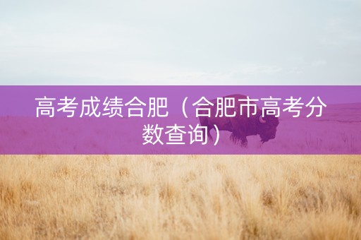 高考成绩合肥（合肥市高考分数查询）