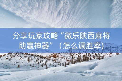 分享玩家攻略“微乐陕西麻将助赢神器”（怎么调胜率)