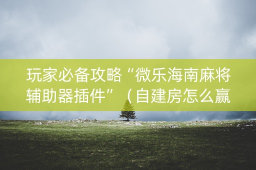 玩家必备攻略“微乐海南麻将辅助器插件”（自建房怎么赢)