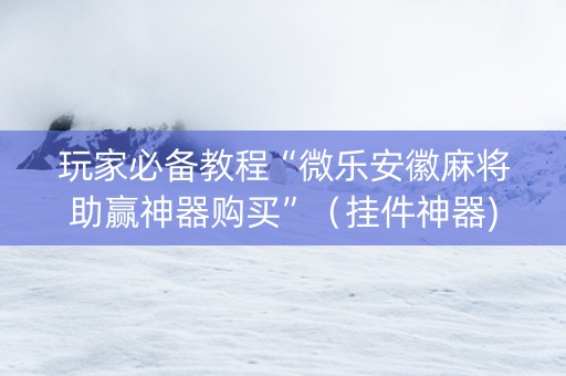 玩家必备教程“微乐安徽麻将助赢神器购买”（挂件神器)