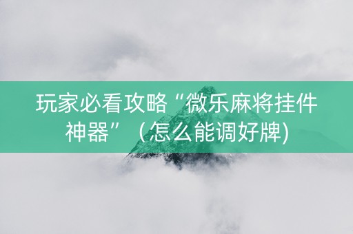 玩家必看攻略“微乐麻将挂件神器”（怎么能调好牌)