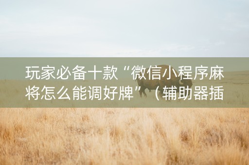 玩家必备十款“微信小程序麻将怎么能调好牌”（辅助器插件)