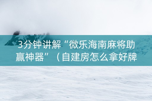 3分钟讲解“微乐海南麻将助赢神器”（自建房怎么拿好牌)