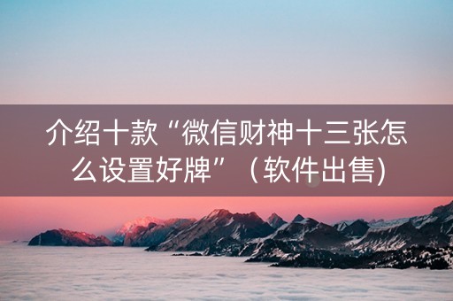 介绍十款“微信财神十三张怎么设置好牌”（软件出售)
