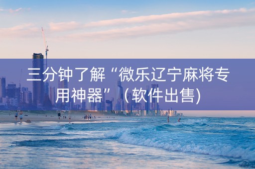 三分钟了解“微乐辽宁麻将专用神器”（软件出售)