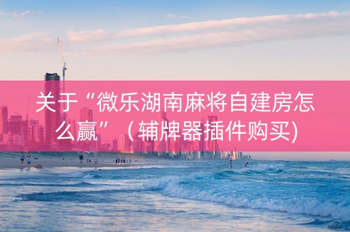 关于“微乐湖南麻将自建房怎么赢”（辅牌器插件购买)