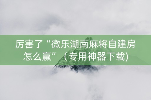 厉害了“微乐湖南麻将自建房怎么赢”（专用神器下载)