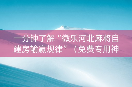 一分钟了解“微乐河北麻将自建房输赢规律”（免费专用神器)