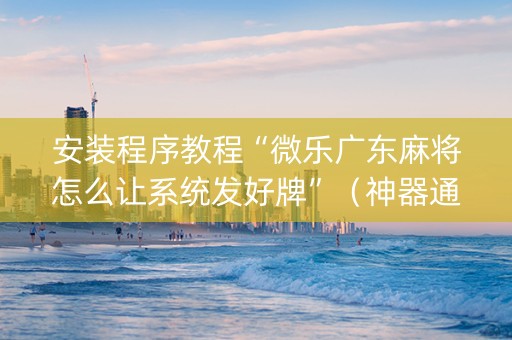 安装程序教程“微乐广东麻将怎么让系统发好牌”（神器通用版)