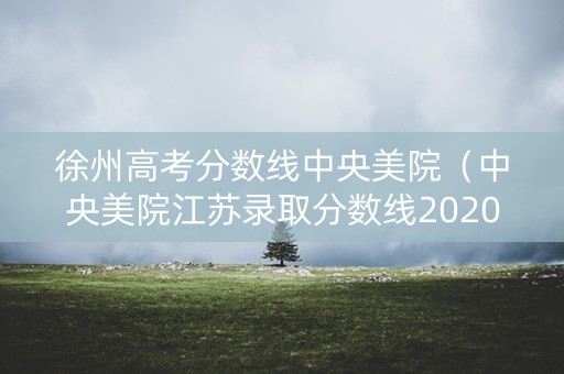 徐州高考分数线中央美院（中央美院江苏录取分数线2020）