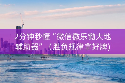 2分钟秒懂“微信微乐锄大地辅助器”（胜负规律拿好牌)