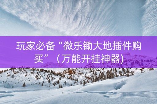 玩家必备“微乐锄大地插件购买”（万能开挂神器)