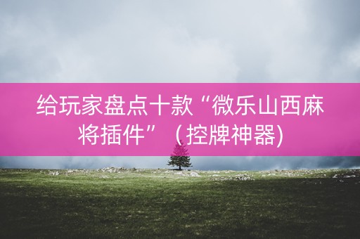 给玩家盘点十款“微乐山西麻将插件”（控牌神器)