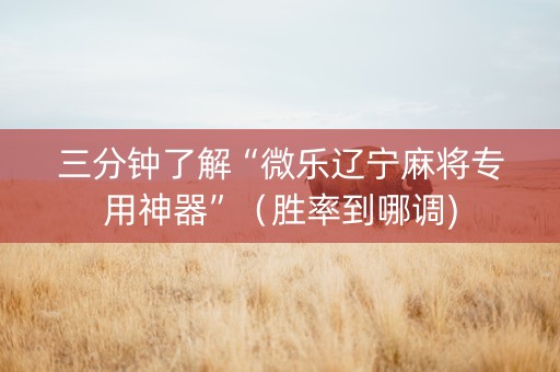 三分钟了解“微乐辽宁麻将专用神器”（胜率到哪调)