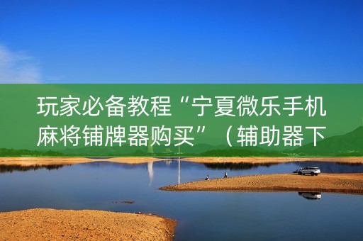 玩家必备教程“宁夏微乐手机麻将铺牌器购买”（辅助器下载)