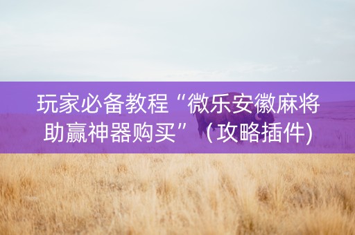 玩家必备教程“微乐安徽麻将助赢神器购买”（攻略插件)