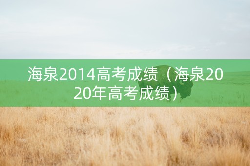 海泉2014高考成绩（海泉2020年高考成绩）