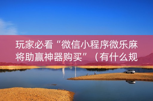 玩家必看“微信小程序微乐麻将助赢神器购买”（有什么规律)